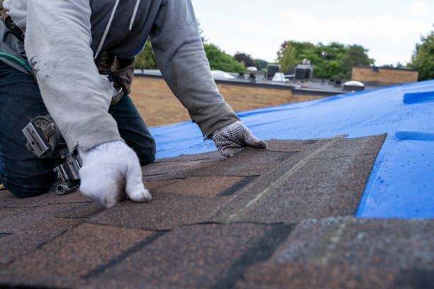 Best Best Roofing Contractors  in Hobart, WA